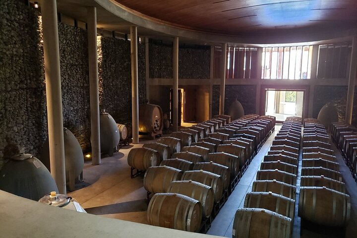 Private San Antonio Port, Visit Matetic Winery & Transfer Hotel - Photo 1 of 11